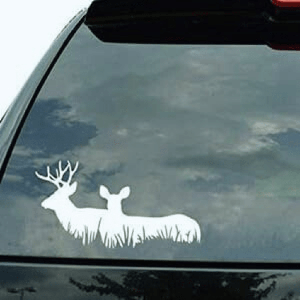 Car Sticker
